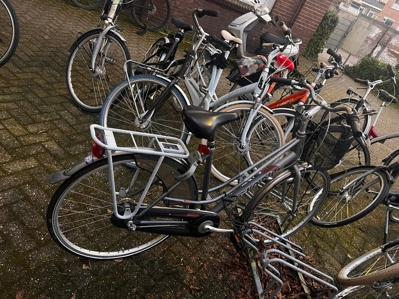 Fiets - Lekke band - Giant, Ophalen, Gebruikt, Giant, Versnellingen