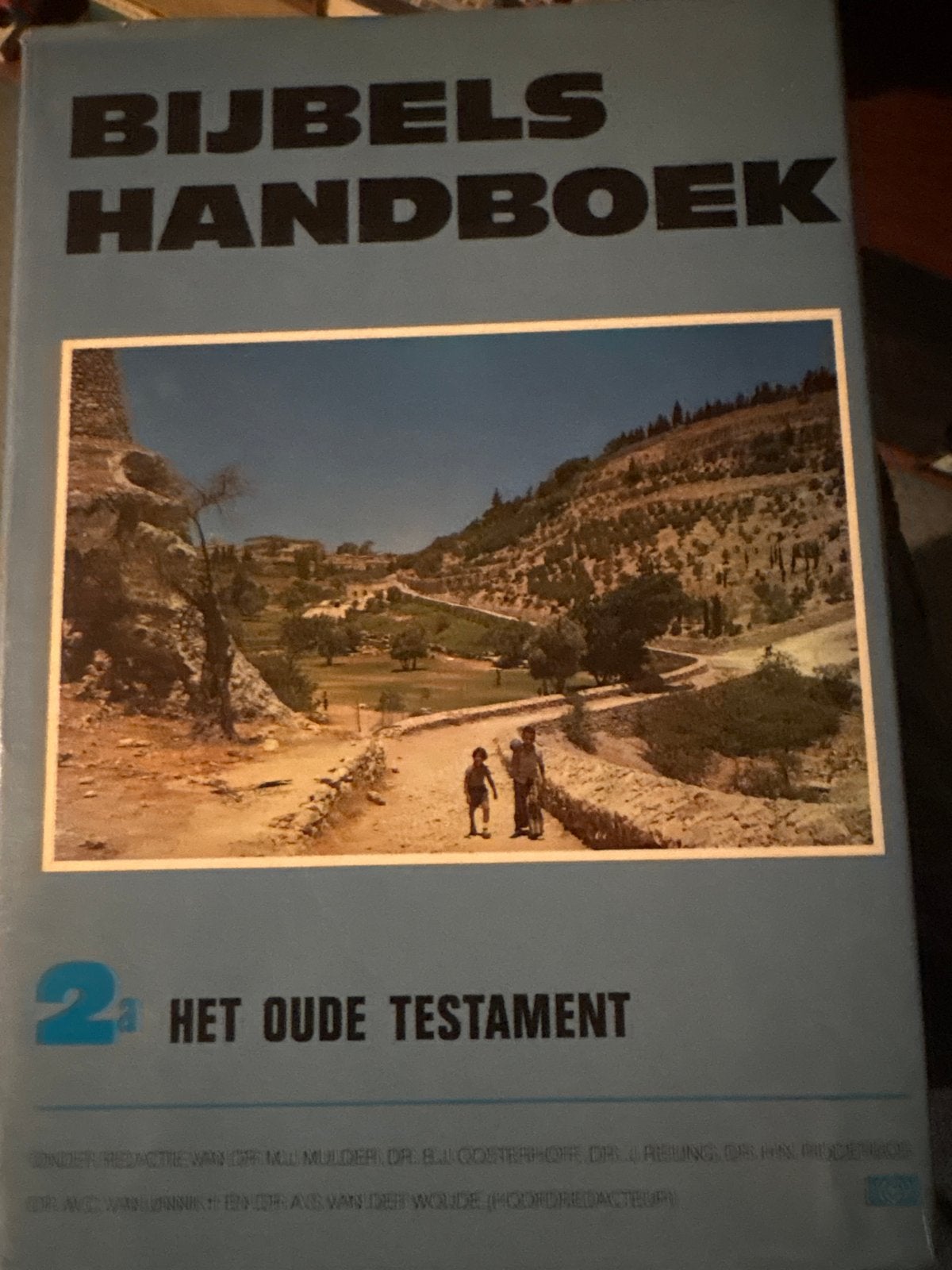 Bijbels Handboek 2a: Het Oude Testament, Ophalen of Verzenden, Gelezen, Christendom | Protestants