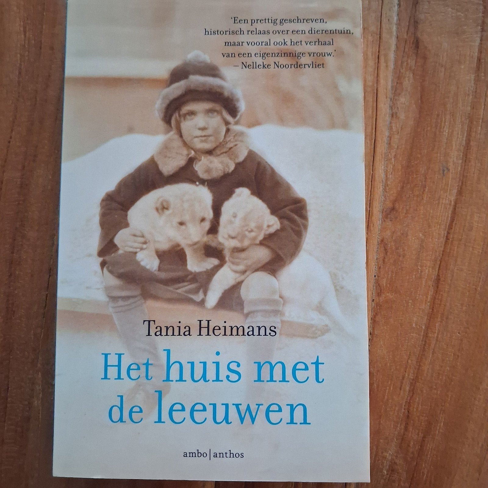 Het huis met de leeuwen - Tania Heimans, Ophalen of Verzenden, Zo goed als nieuw, Tania Heimans, Kunst en Cultuur