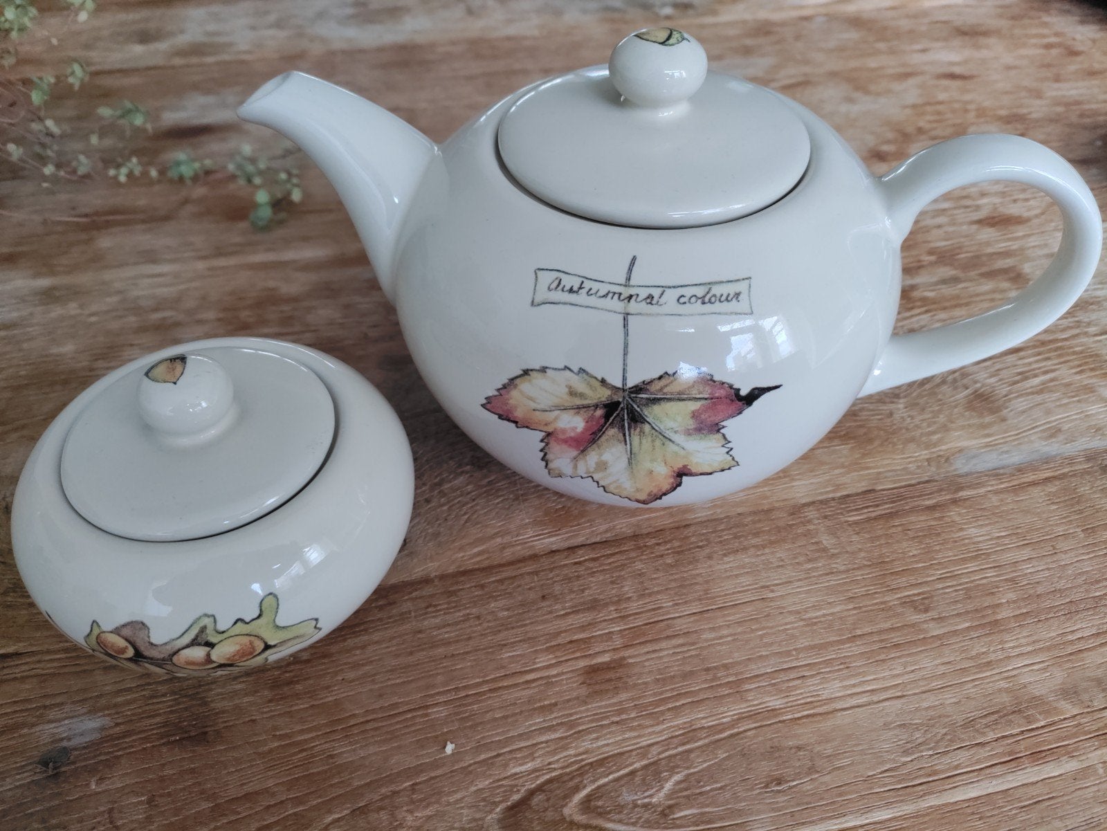 Jet ter Steege theepot en suikerpot, Ophalen of Verzenden