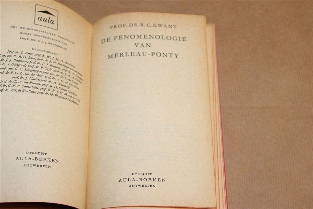 Fenomenologie Merleau-Ponty — Kwant, Filosofie 1962, Boeken, Ophalen of Verzenden, Gelezen, Algemeen