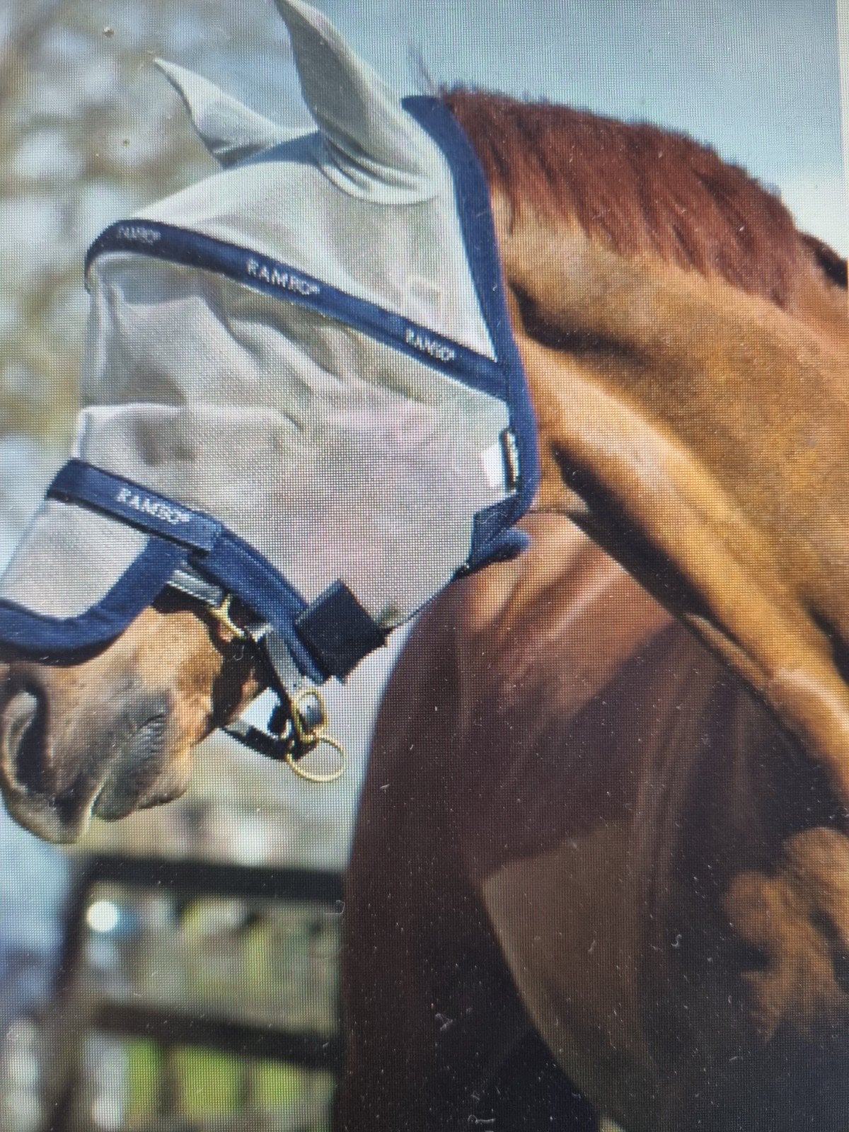 Rambo plus vliegenmasker full, Dieren en Toebehoren, Ophalen of Verzenden, Gebruikt