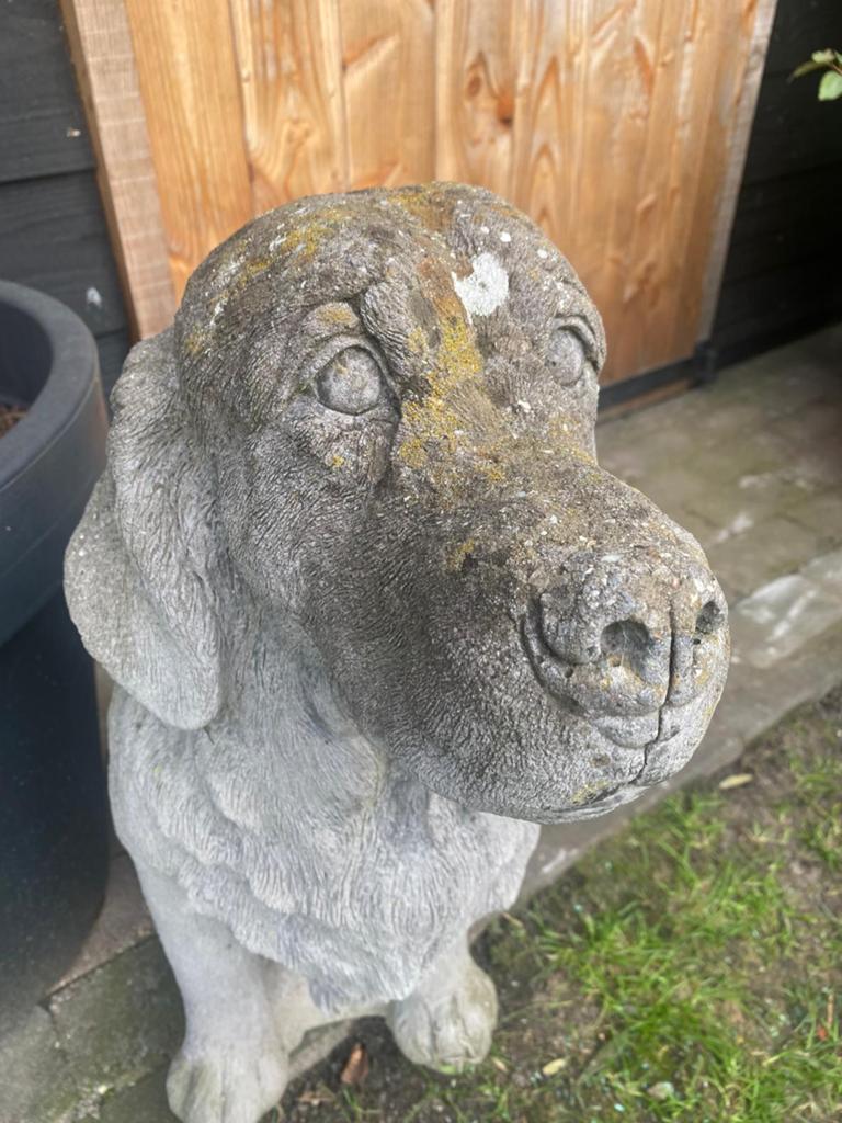 Labrador in steen, Tuin en Terras, Ophalen, Gebruikt, Steen