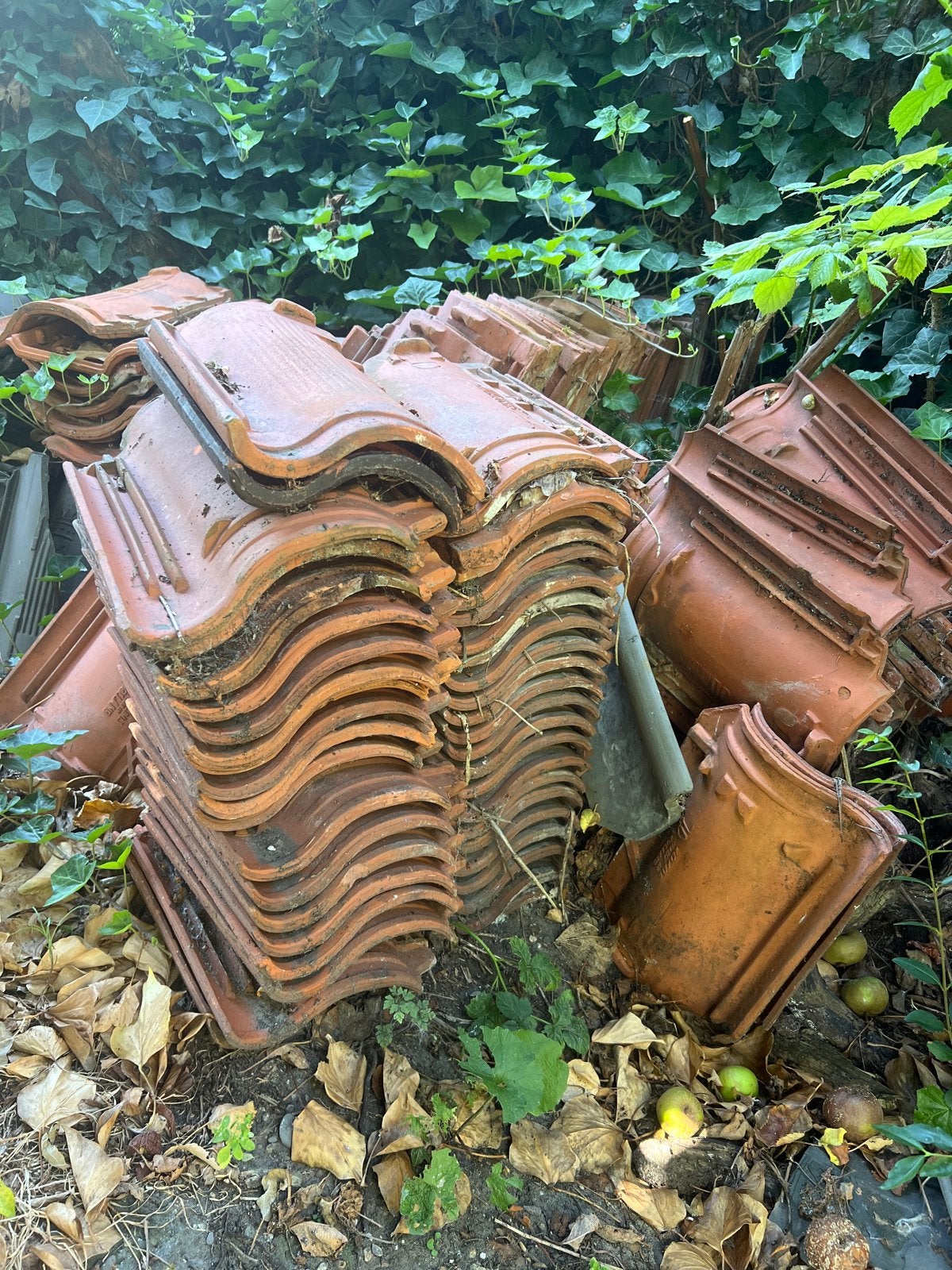 Gebruikte dakpannen - JD Holland Belfeld, Ophalen, Gebruikt, Steen of Klei, 15 m² of meer