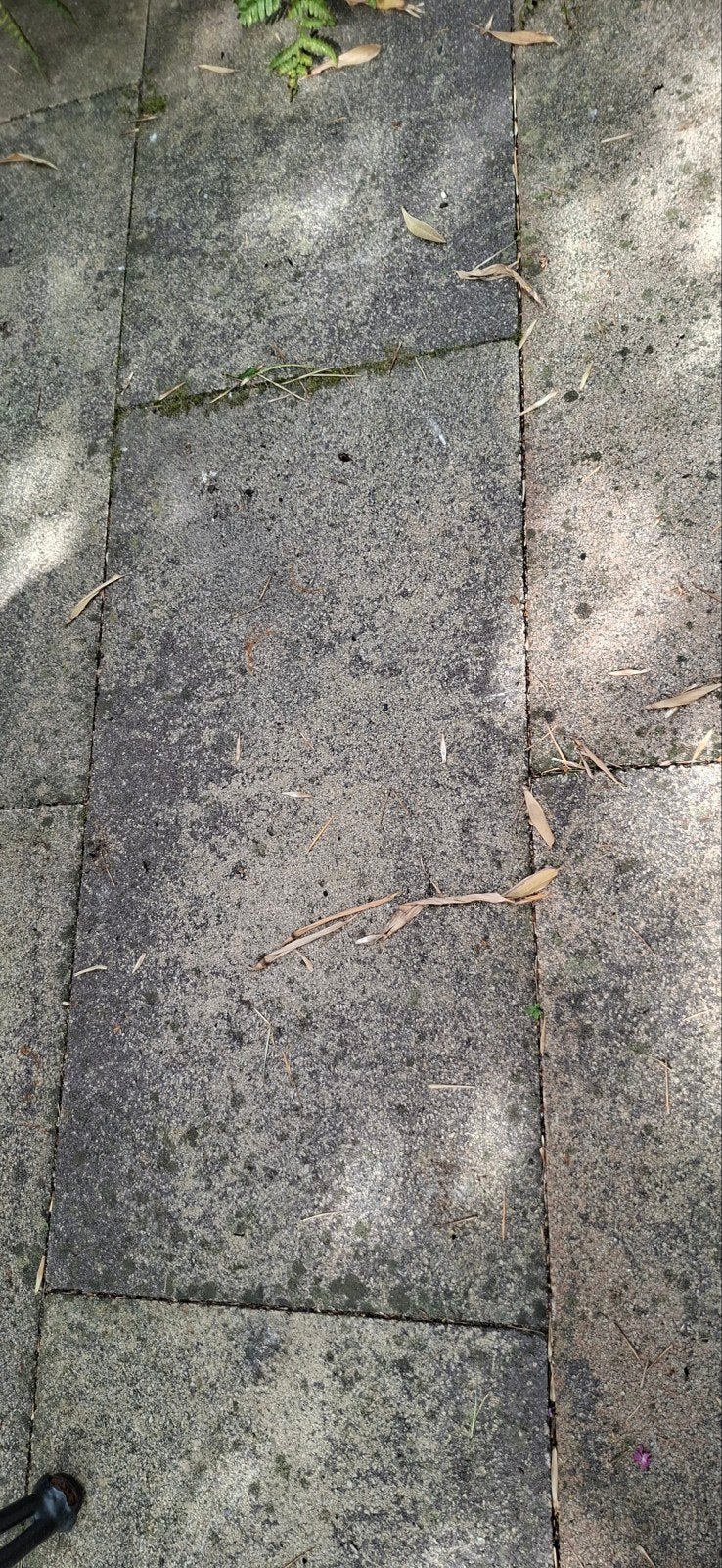 ------- Betontegels 30x60x6 cm ------, Tuin en Terras, Tegels en Klinkers, Ophalen, Gebruikt, Minder dan 5 m², Gestraald