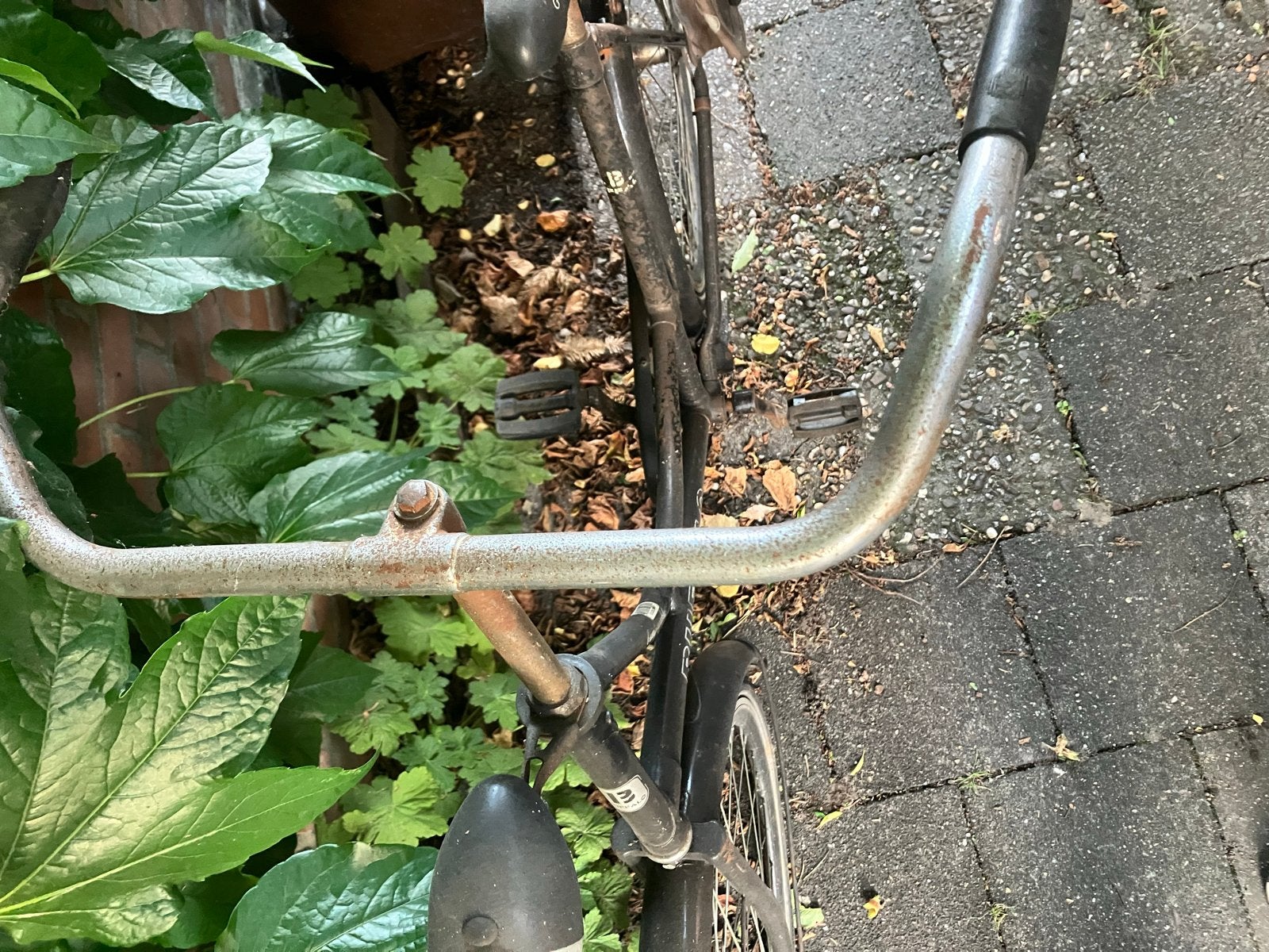 Buffalo damesfiets met lekke banden, Overige merken, Terugtraprem, Ophalen of Verzenden, 53 tot 56 cm
