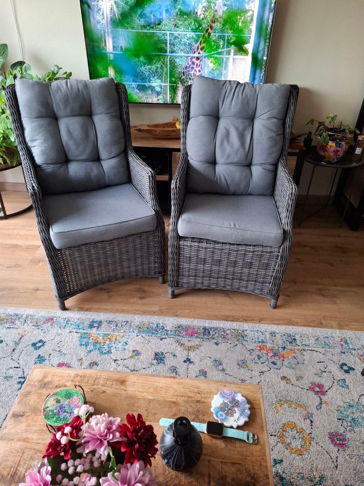 stoelen, Ophalen, Zo goed als nieuw, Kunststof