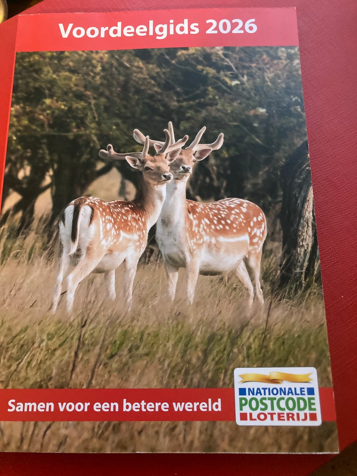 Boordeel agenda 2026, Kortingsbon