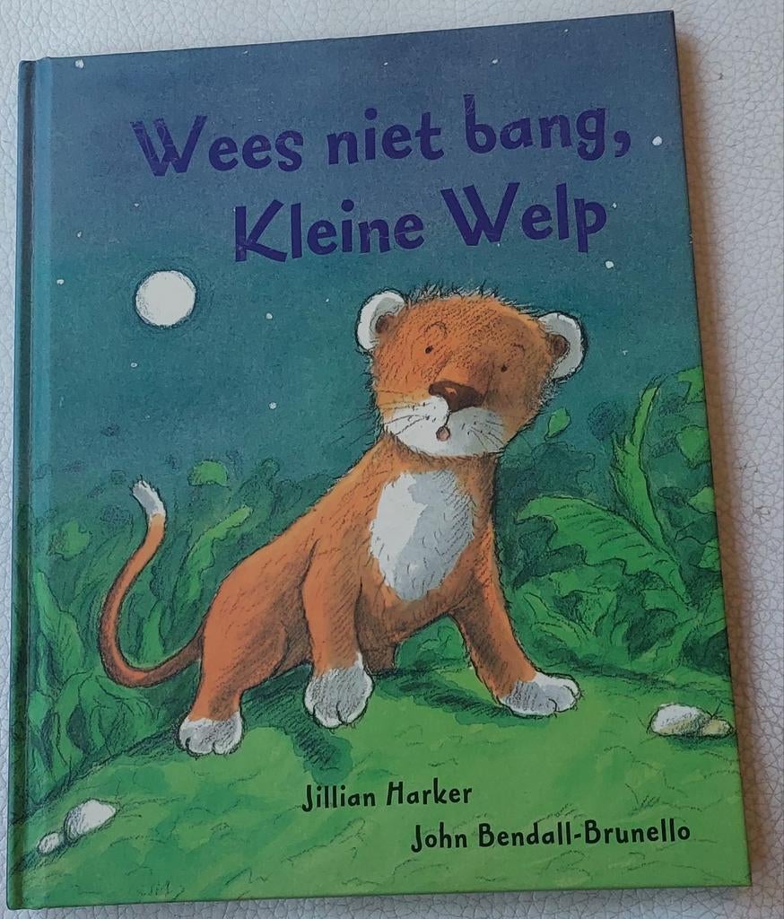 Wees niet bang, Kleine Welp, Boeken, Ophalen of Verzenden, Zo goed als nieuw, Jillian Harker, John Bendall-Brunello, Fictie algemeen