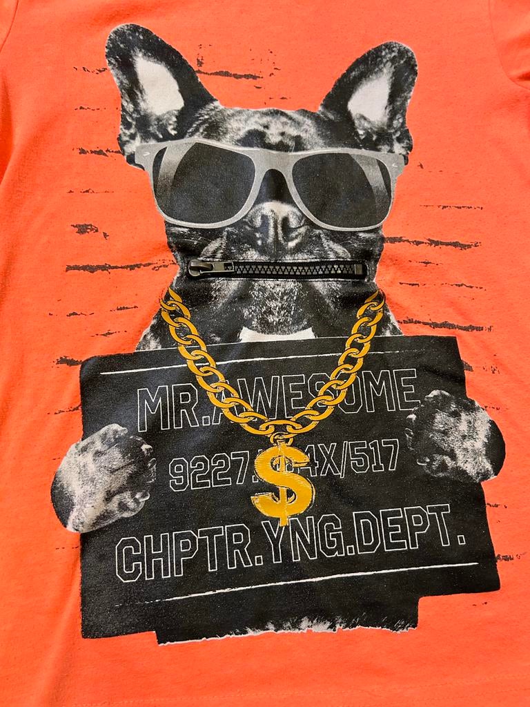 Stoer T-shirt Chapter Young met bulldog print - Maat 134/140, Ophalen of Verzenden, Gebruikt, Jongen, Shirt of Longsleeve