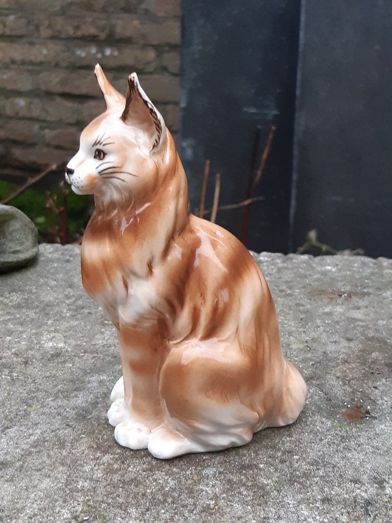 Uniek porcelein Maine Coon kat beeld nieuwstaat, Ophalen of Verzenden, Zo goed als nieuw, Dier
