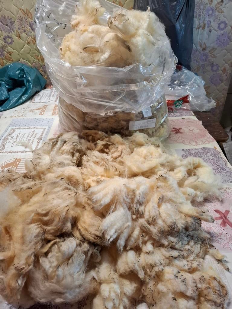 Ruwe wol van Texelaar,  voor spinnen, Hobby en Vrije tijd, Ophalen of Verzenden, Nieuw, Spinwol