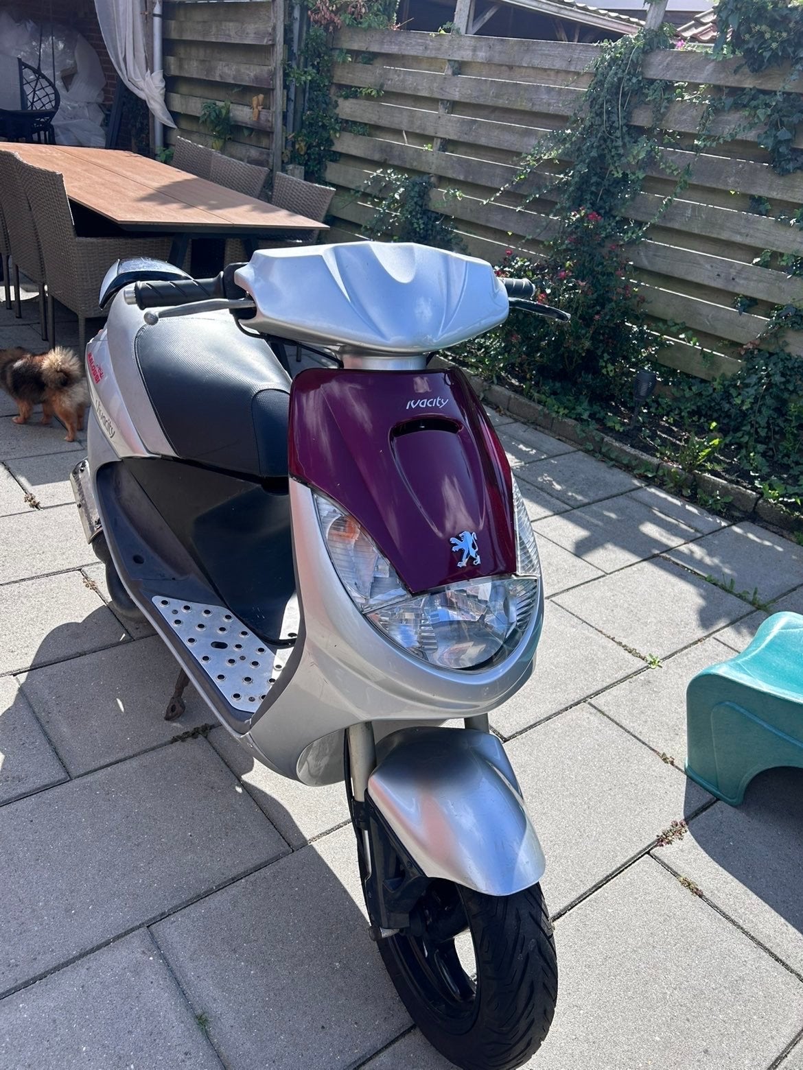 Peugeot Vivacity 50cc, Ophalen, Gebruikt, Tweetakt, Vivacity