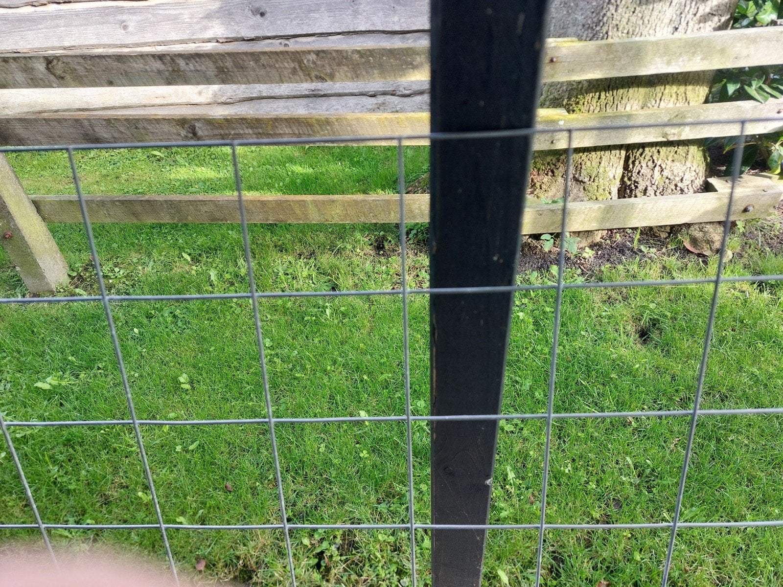 Tuingaas, Tuin en Terras, Ophalen, Minder dan 10 meter