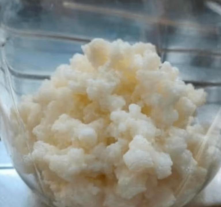 Verse biologische kefirculturen voor zelf kefir maken, Ophalen of Verzenden, Nieuw, Overige typen