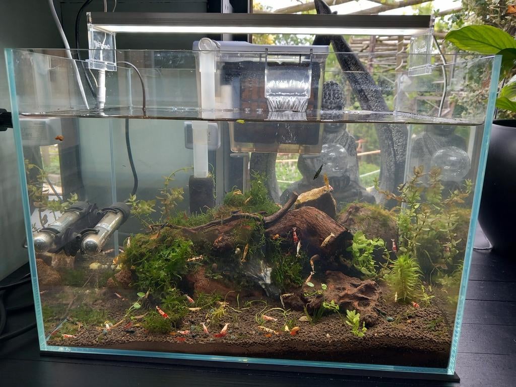 Mooie garnalen bak met waterval en filter in 1, Ophalen, Zo goed als nieuw, Gevuld zoetwateraquarium