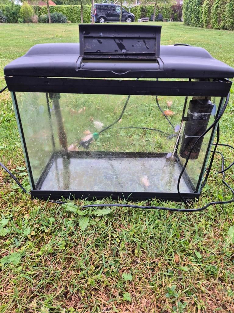 Aquarium compleet 40 x 20 x 30. 40liter cayman, Dieren en Toebehoren, Vissen | Aquaria en Toebehoren, Ophalen, Zo goed als nieuw