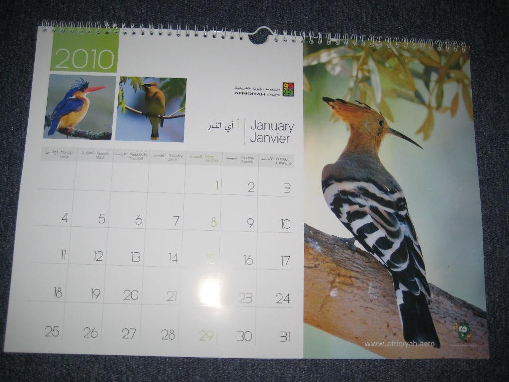vogel kalender 2010, Verzenden, Maandkalender, Nieuw