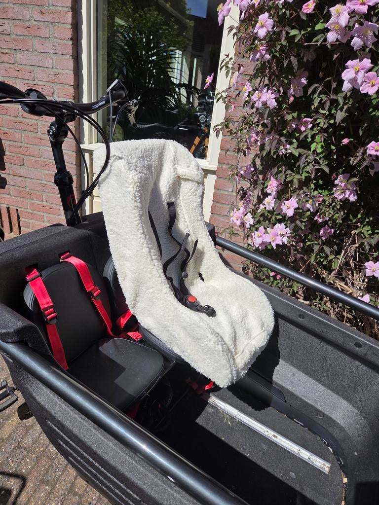 Melia bakfiets stoeltje, Basic 3P Schaap - 7-18 Maanden, Ophalen of Verzenden, Overige merken, Autogordel