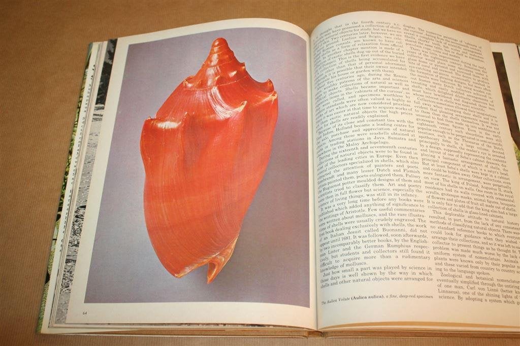 Boek: Shells and Shell Collecting, Verzamelen, Ophalen of Verzenden, Fossiel