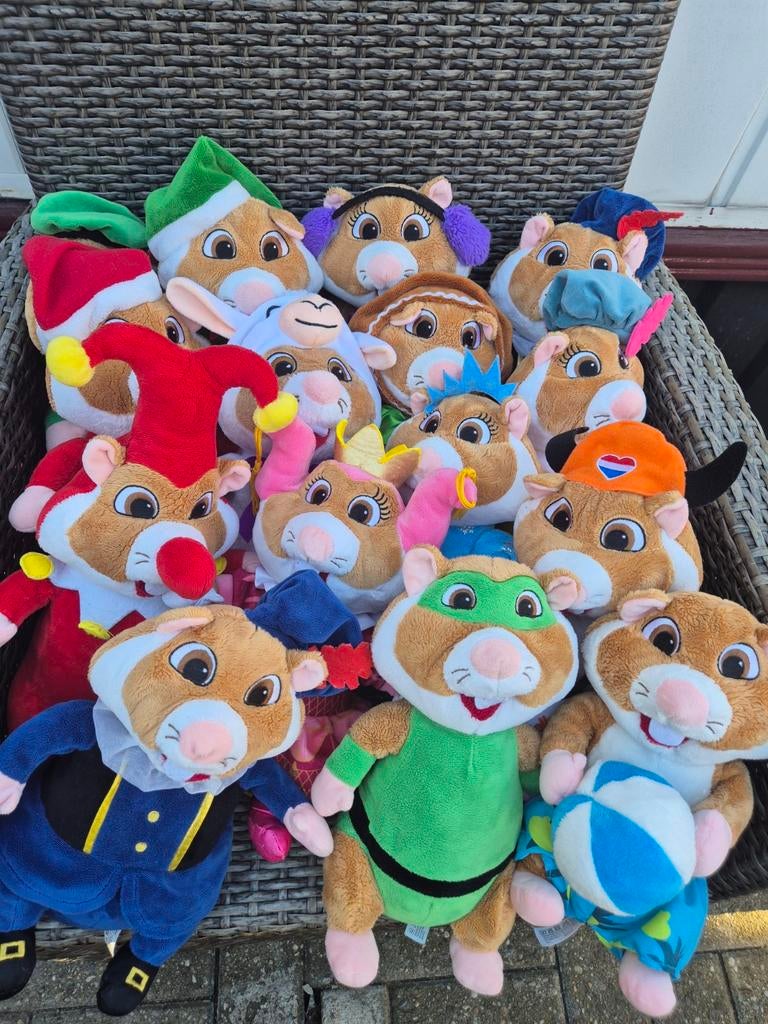 Hamsterrrreeennnn veel ah hamsters, Ophalen of Verzenden, Zo goed als nieuw, Overige typen