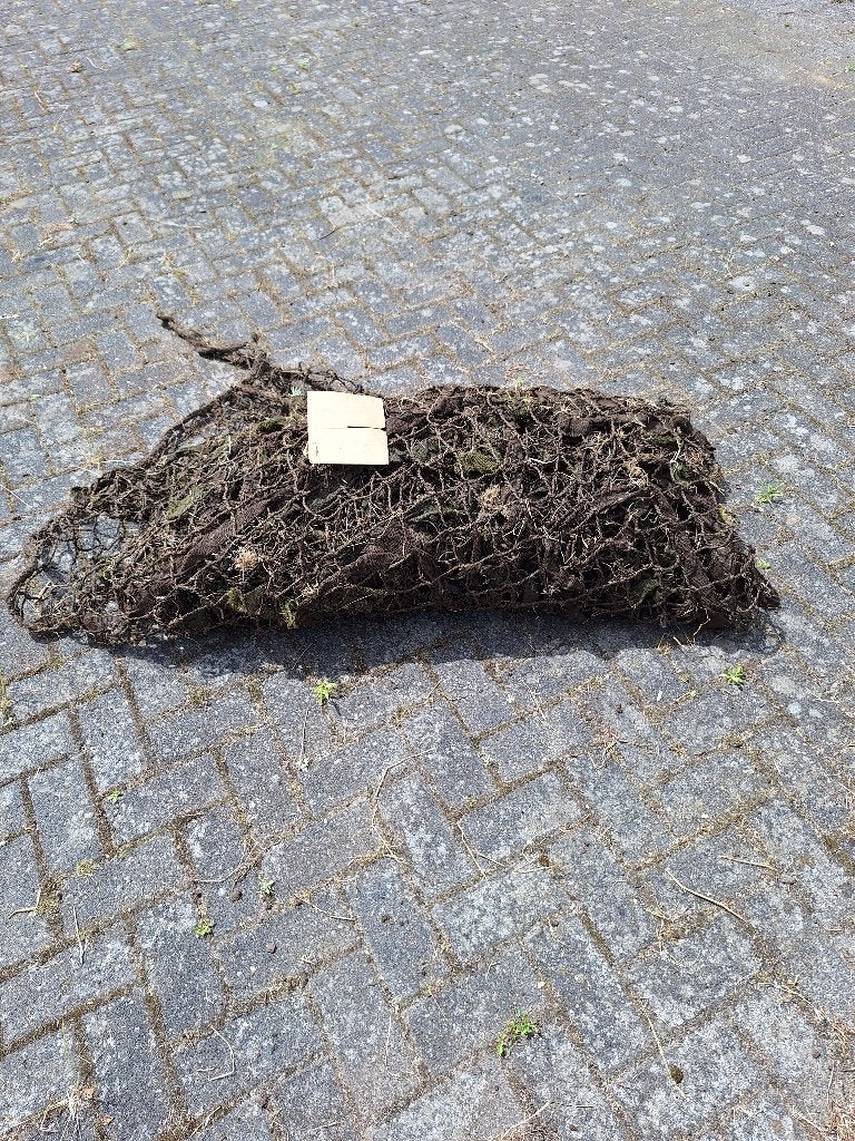 Camouflagenet, Ophalen of Verzenden, Landmacht, Nederland