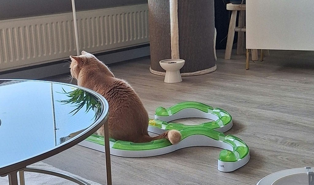 Katten speelbaan (Catit Senses 2.0 Super Circuit), Ophalen, Zo goed als nieuw