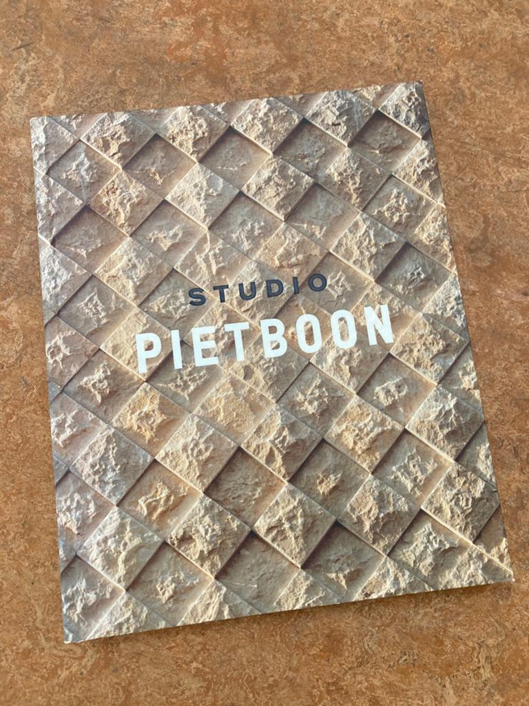 Boek Piet Boon, Ophalen of Verzenden, Zo goed als nieuw, Overige onderwerpen