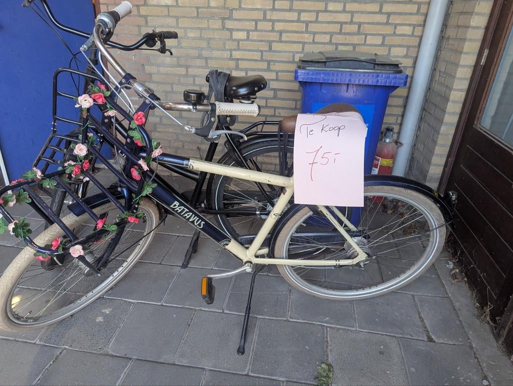Batavus 75e damesfiets met mand en bloemen, Ophalen, Velgrem, Versnellingen, Batavus