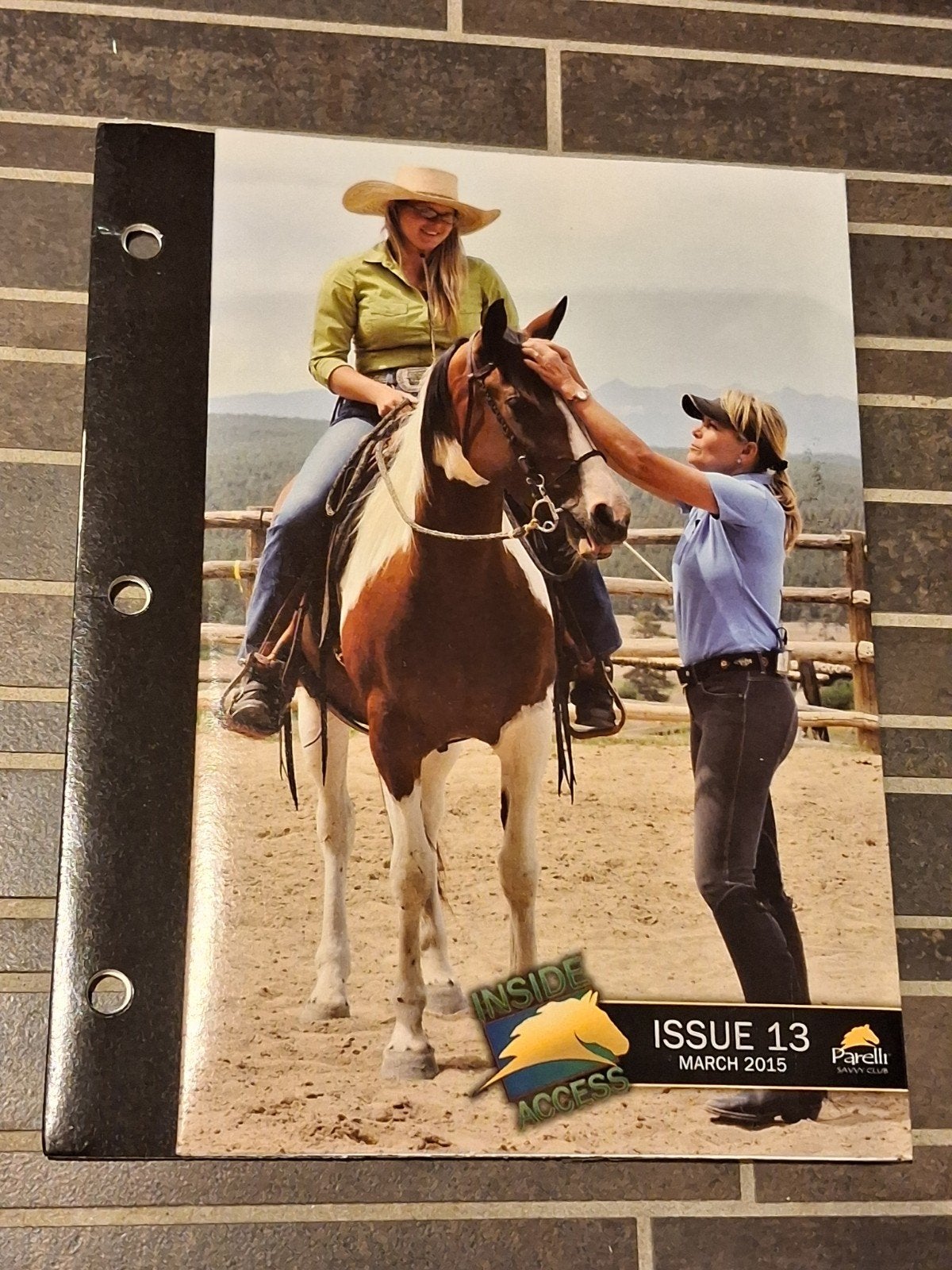 parelli savvy club dvd nr 13 maart 2015, Boeken, Dieren en Huisdieren, Ophalen of Verzenden, Zo goed als nieuw, Katten