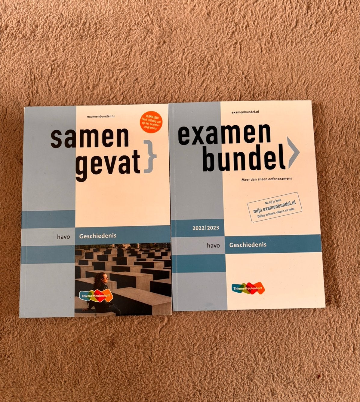 Samengevat en examenbundel havo geschiedenis, Boeken, Verzenden, Zo goed als nieuw, HAVO, Geschiedenis