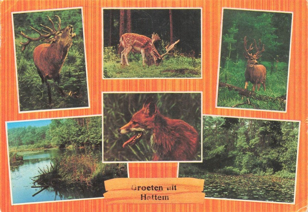 Groeten uit Hattem, Ophalen of Verzenden, 1960 tot 1980, Gelopen, Gelderland