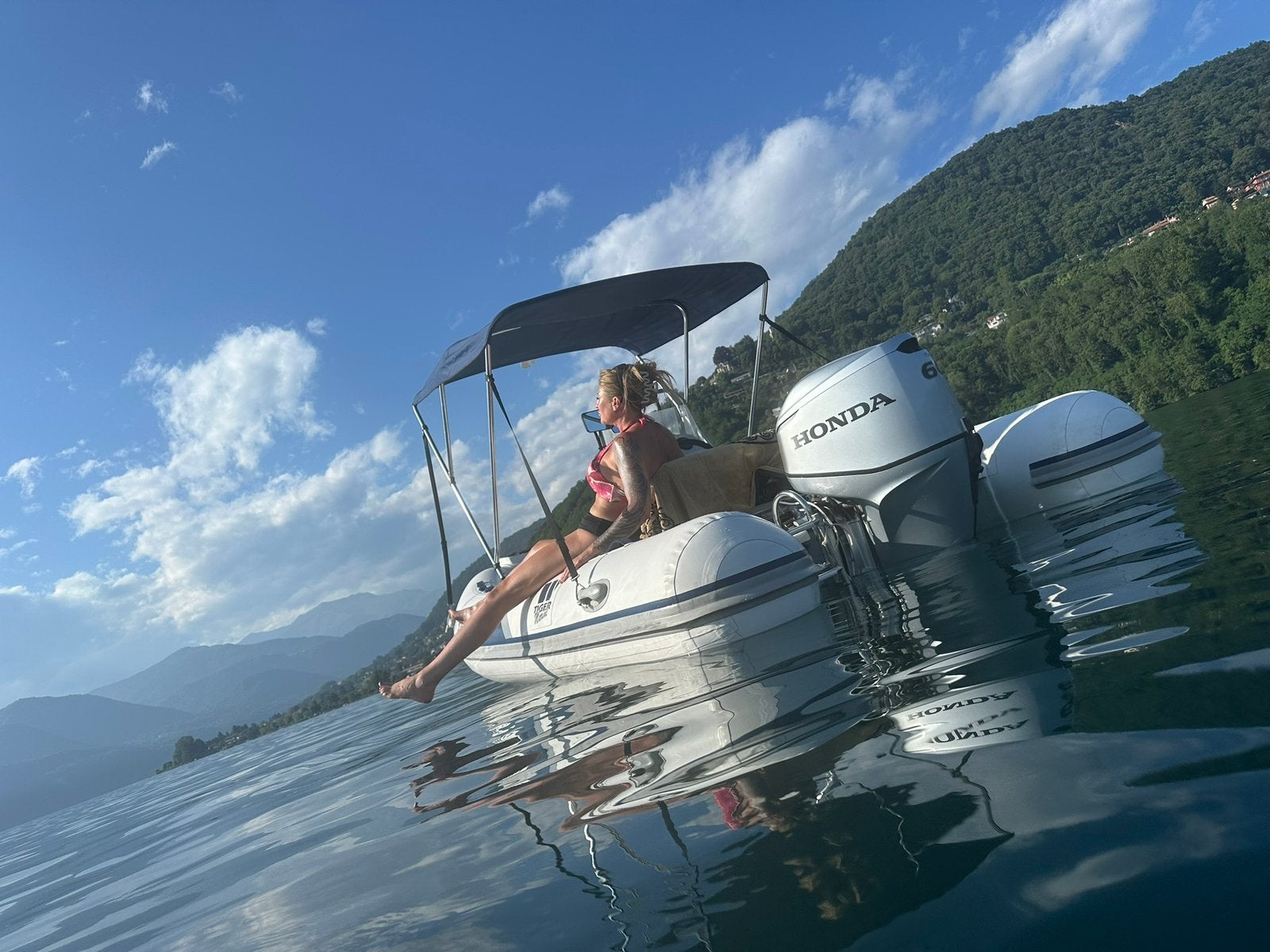 Tiger rib 440