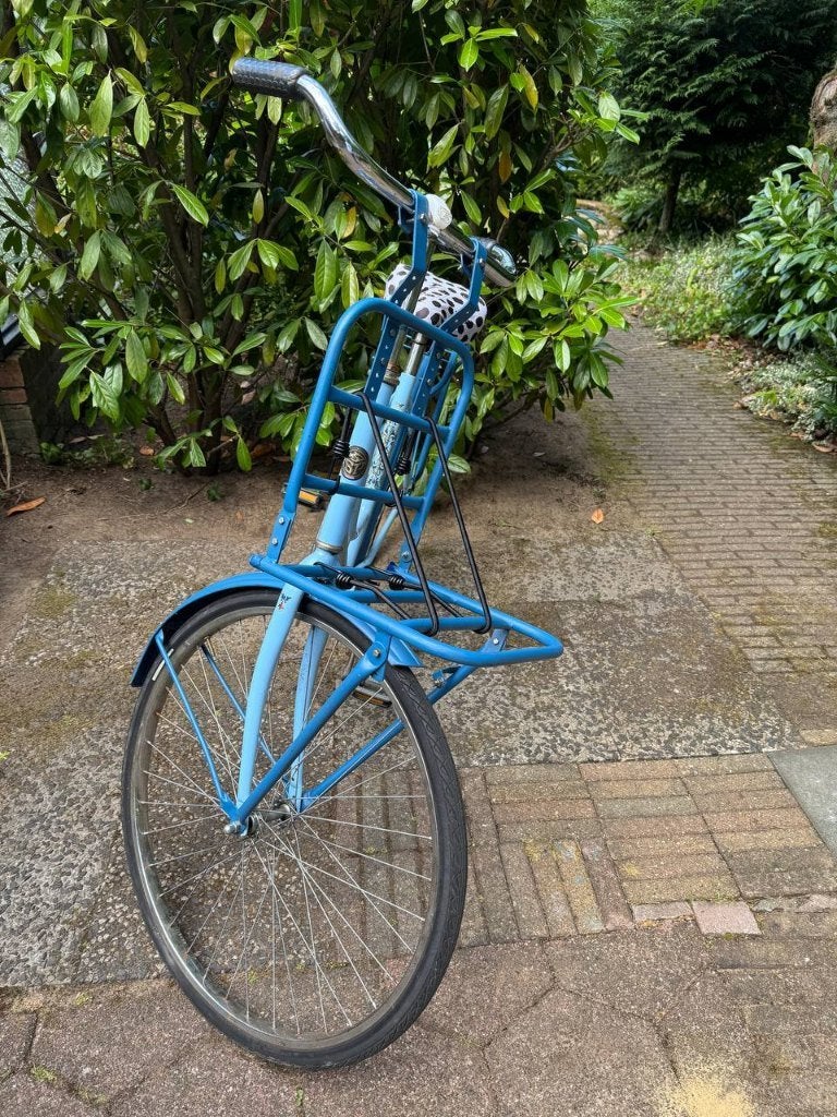 Blauwe transportfiets met voordrager, Fietsen en Brommers, Fietsen | Dames | Damesfietsen, Terugtraprem, Versnellingen, Ophalen