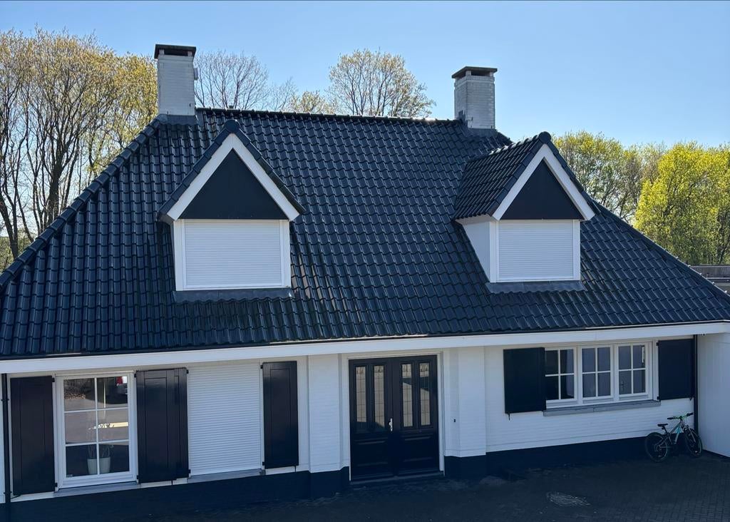 Dak & Gevel renovatie/ Reiniging, GRATIS INSPECTIE, Garantie, Onderhoud of Restauratie