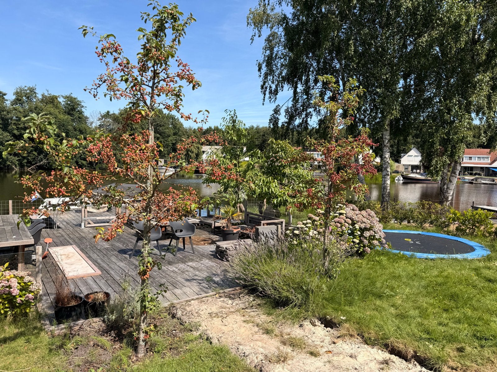 Malus sierappel boom (280 cm) te koop (zelf uitgraven), Overige soorten, Lente, 250 tot 400 cm, Ophalen