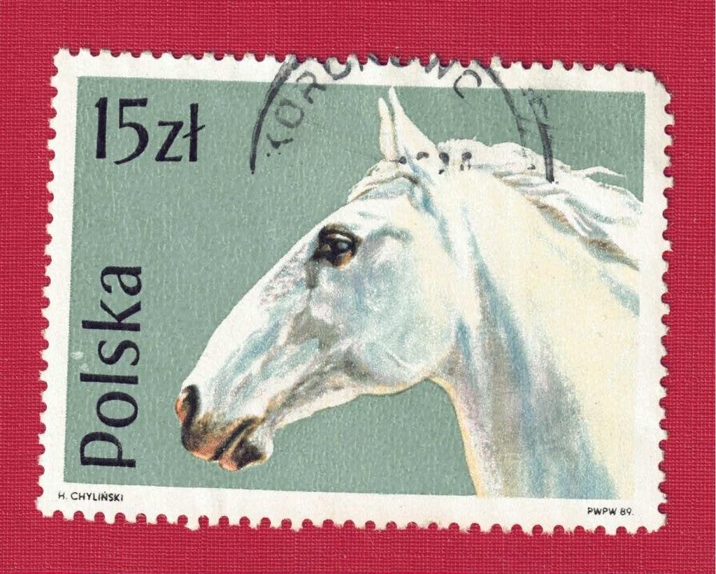 Fauna - Dieren - Paarden - Polen - 15 Zt. - gebr, Postzegels en Munten, Postzegels | Thematische zegels, Ophalen of Verzenden