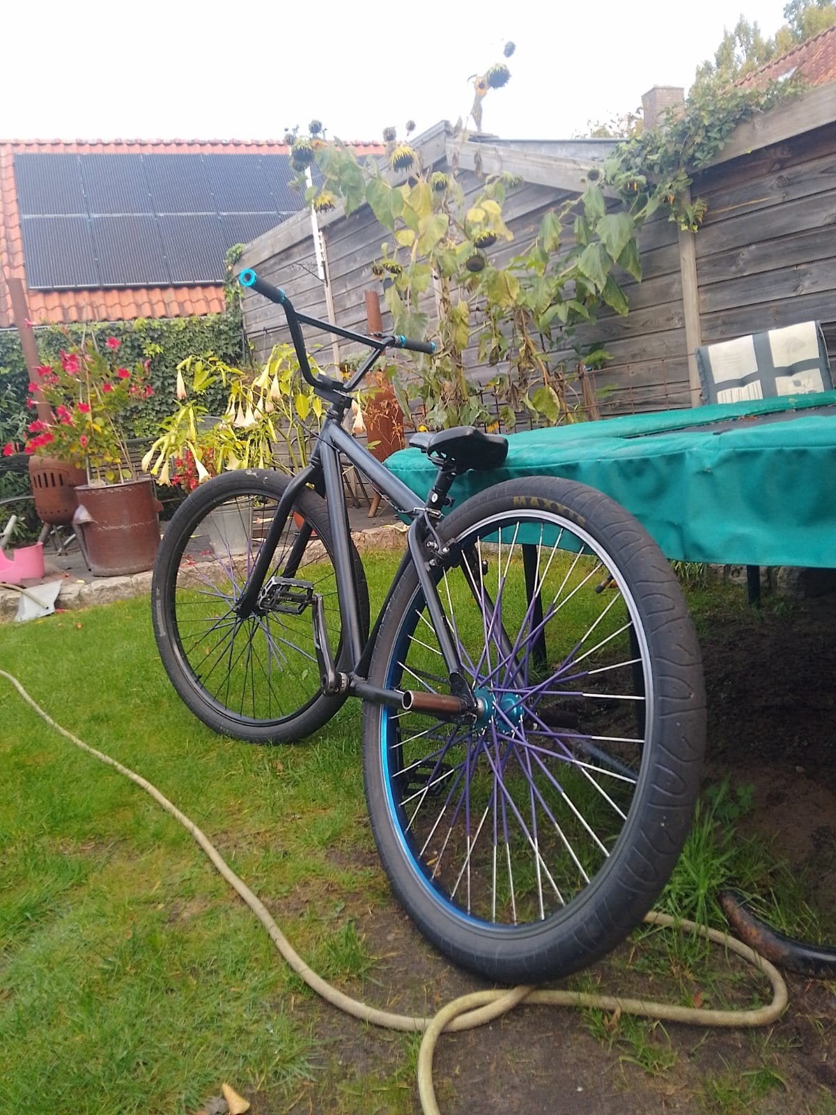 SE BIKE 29 inch, Ophalen, Gebruikt