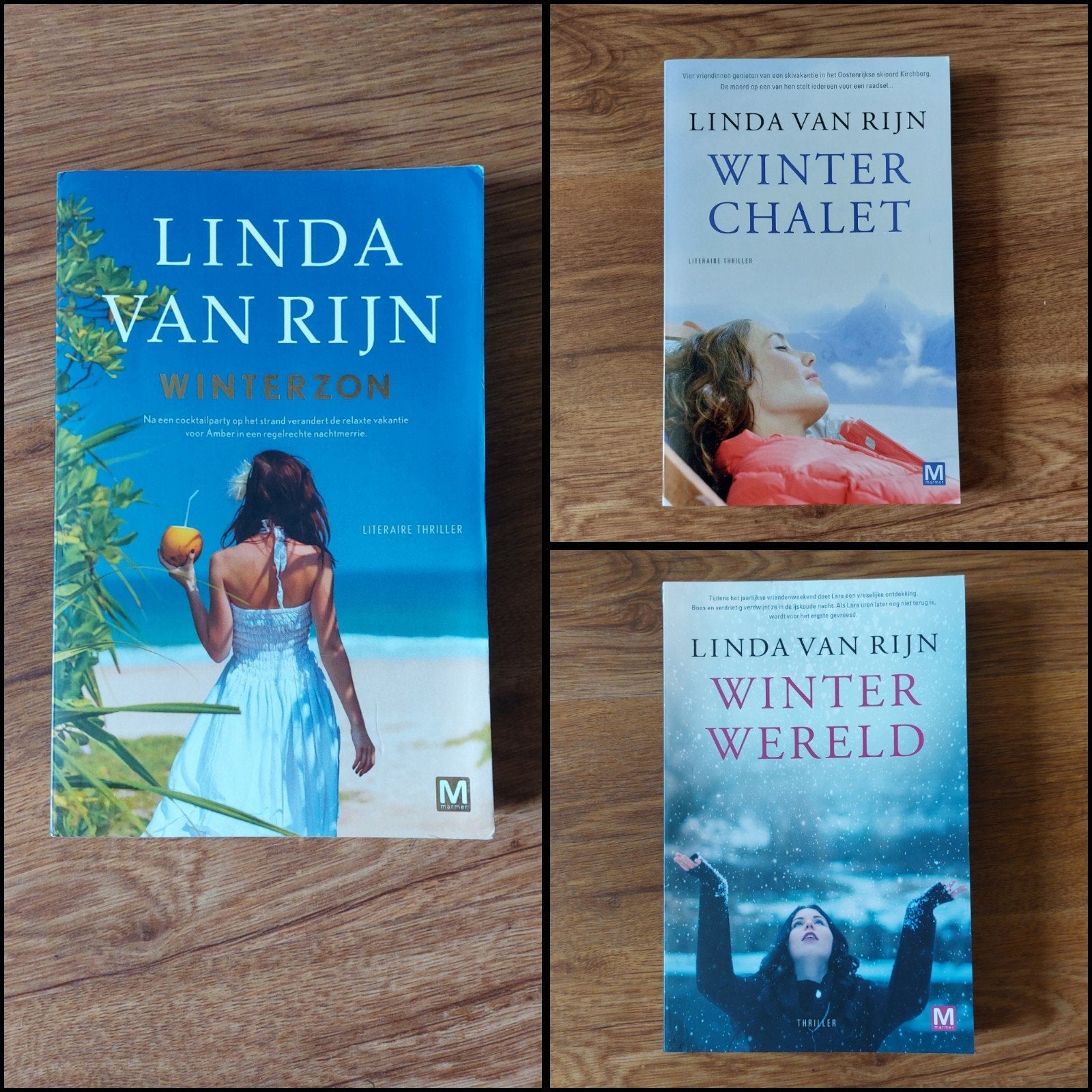 Thrillers van Linda van Rijn • o.a. Winterzon, Ophalen of Verzenden, Zo goed als nieuw, Linda van Rijn