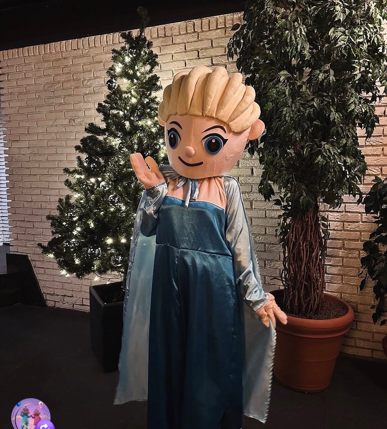 Elsa prinses mascotte te koop - ideaal voor verhuur, Ophalen, Zo goed als nieuw, Overige thema's, Kleding