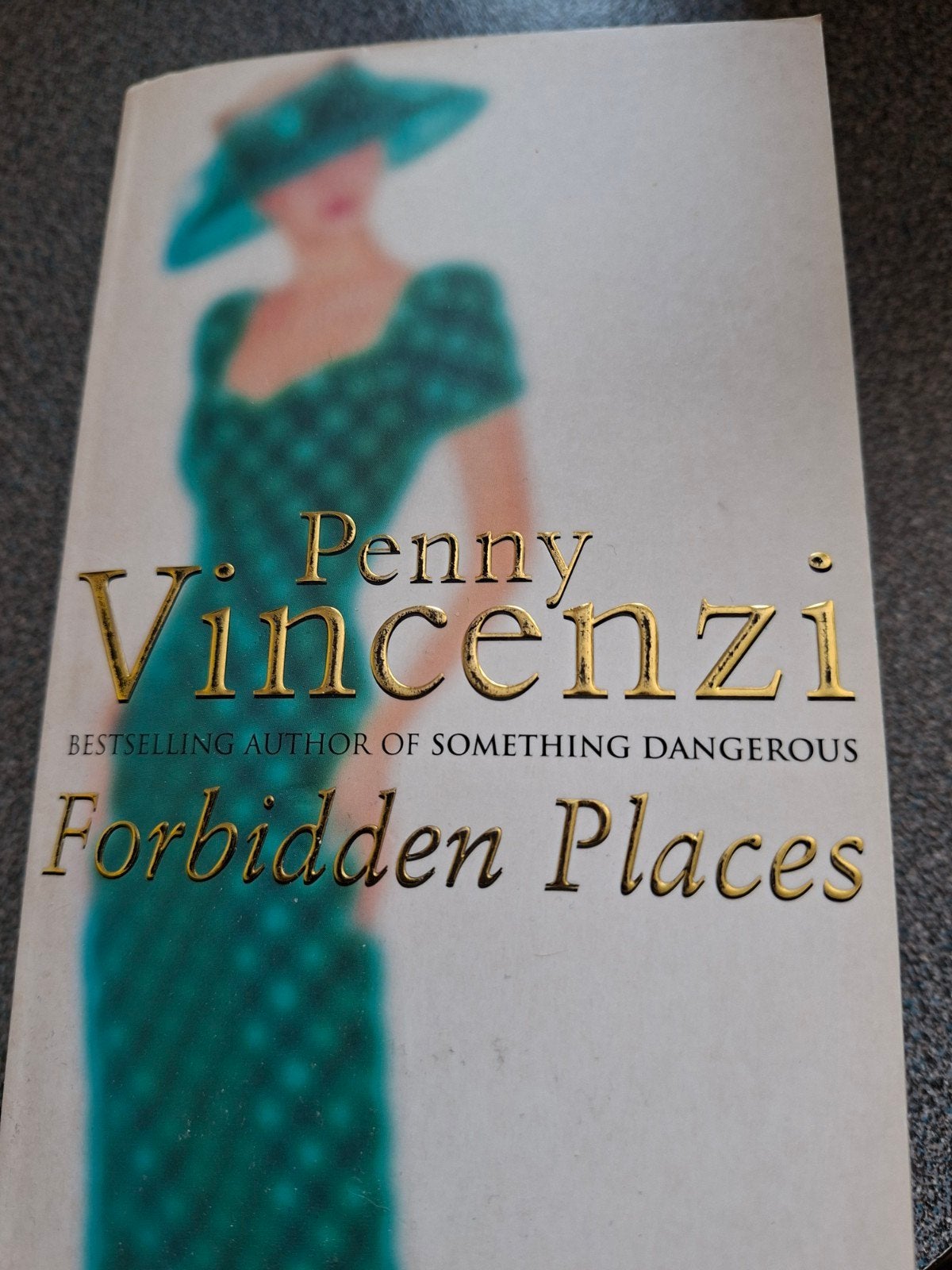 Forbidden Places - Penny Vincenzi (Engels), Ophalen of Verzenden, Gelezen, Penny Vincenzi, Europa overig
