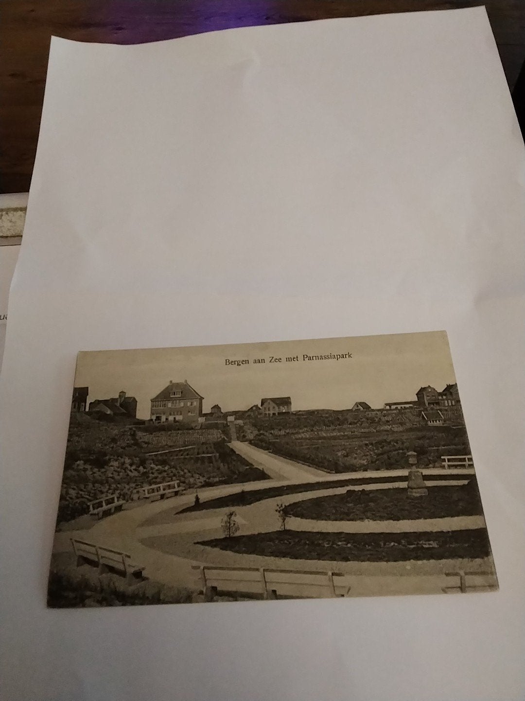 Oude ansichtkaart Bergen aan Zee met Parnassiapark, Ophalen of Verzenden, Voor 1920, Gelopen, Noord-Holland