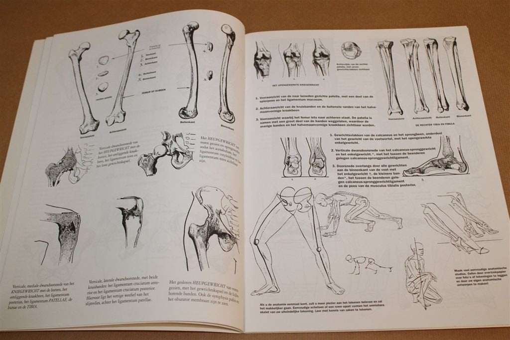 Anatomie Tekenen — Skelet, Spieren, Houding & Meer, Ophalen of Verzenden, Gelezen, Tekenen en Schilderen