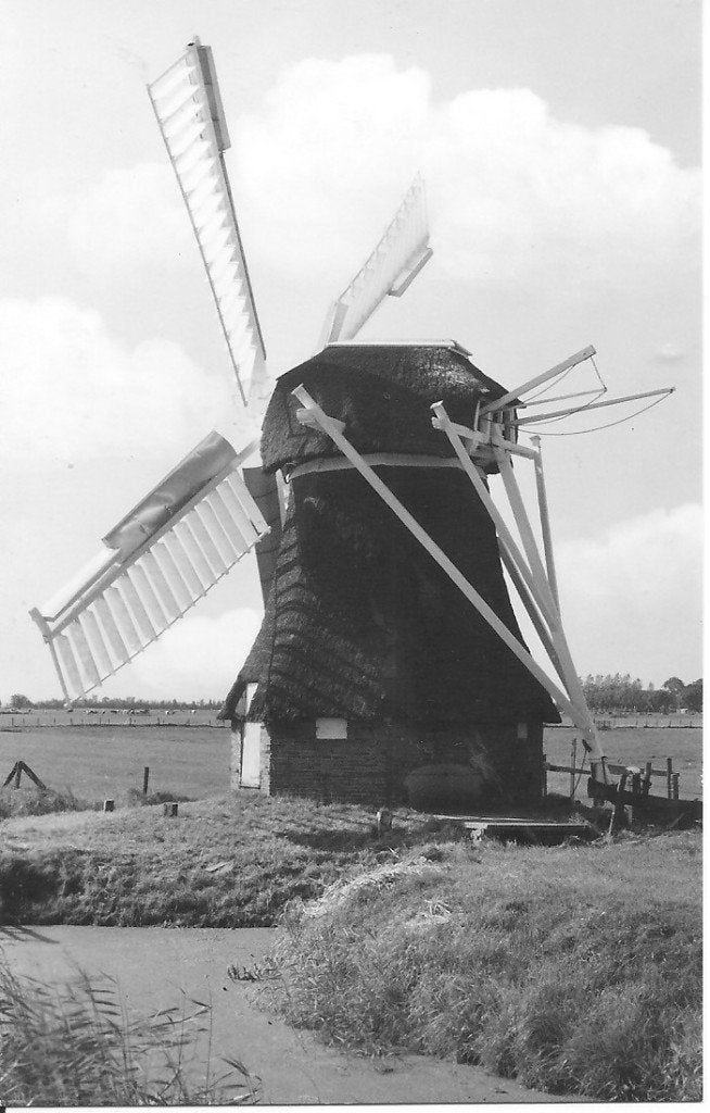 Zuidwolde 't Wit meulentje - Ansichtkaart (foto Sept. 1973), Ophalen of Verzenden, 1960 tot 1980, Ongelopen, Groningen