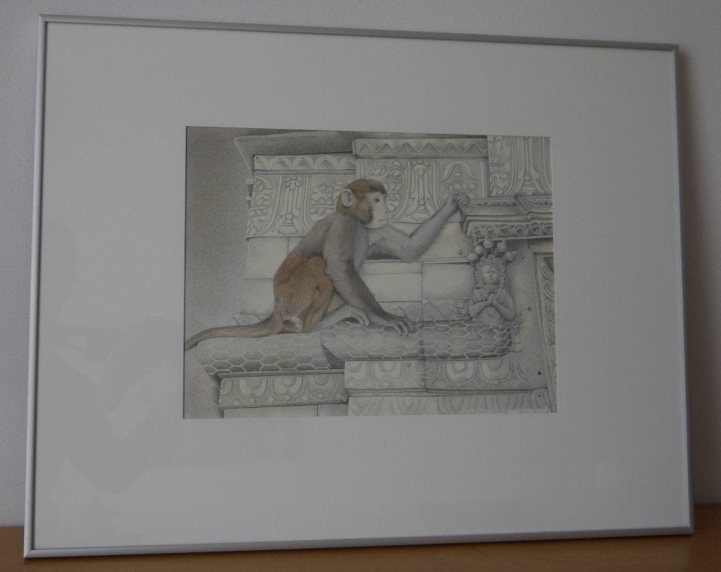 Aap tekening in kleur gesigneerd 1990., Ophalen