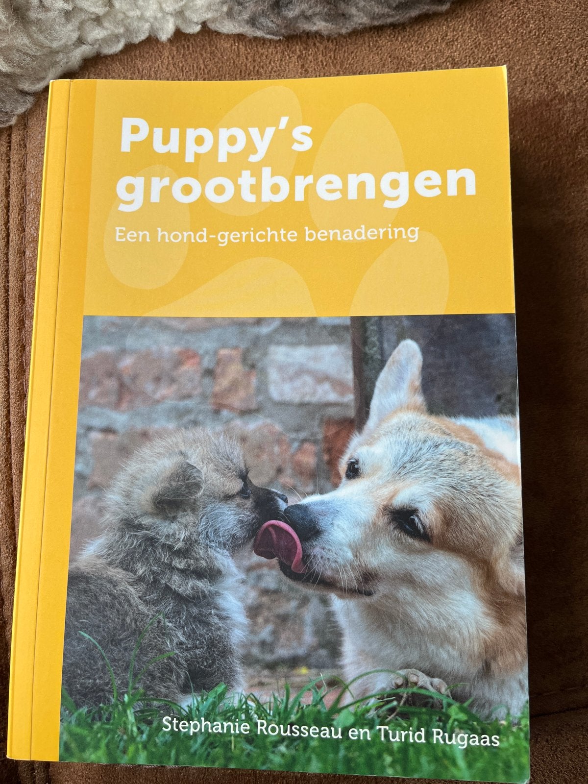 Puppy's Grootbrengen - Hond-gerichte benadering, Ophalen of Verzenden, Zo goed als nieuw, Honden