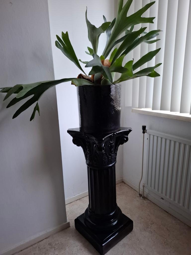 Zuil met pot en plant (Platycerium), Ophalen of Verzenden