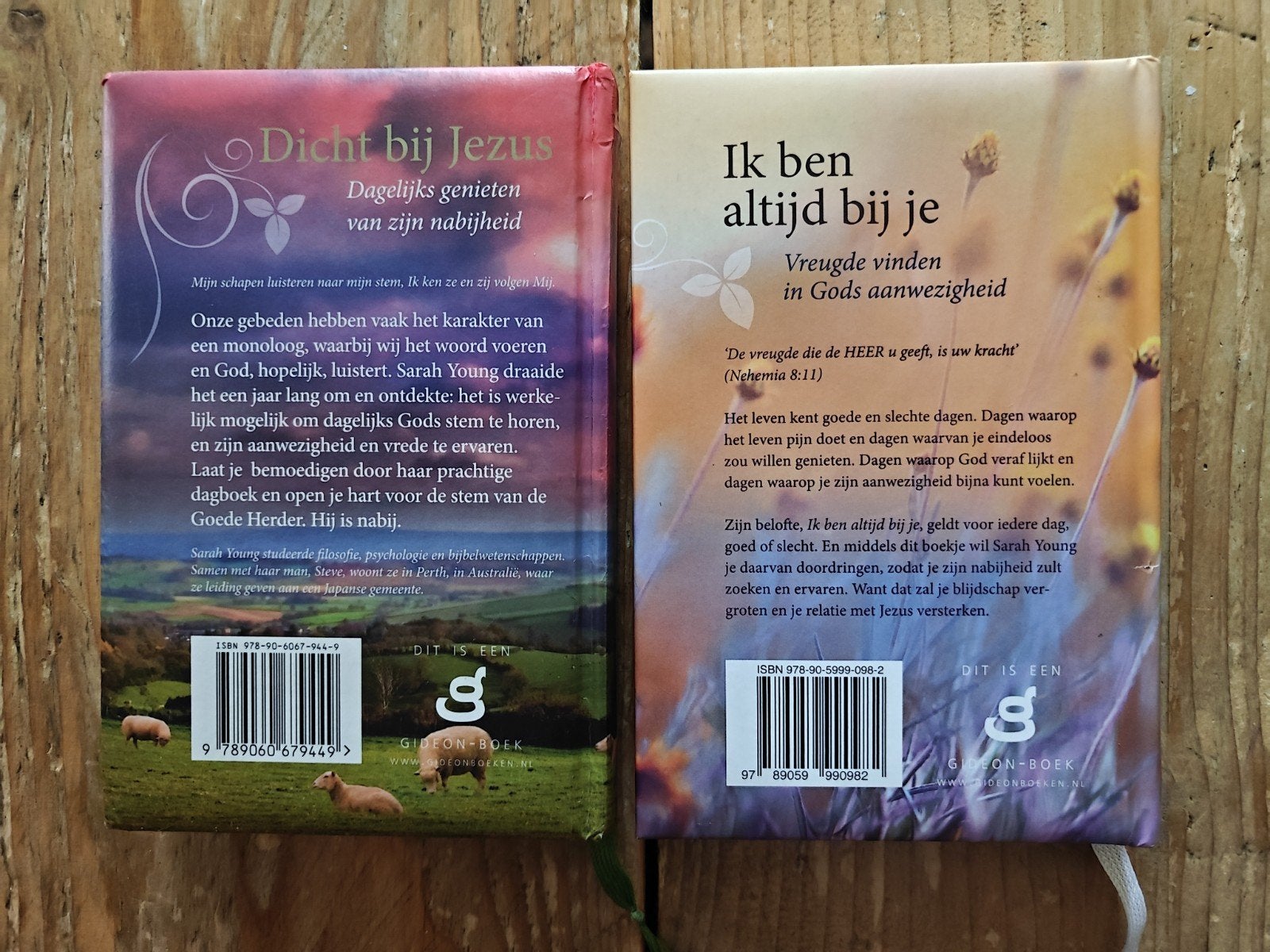 2 Boeken van Sarah Young., Ophalen of Verzenden, Zo goed als nieuw