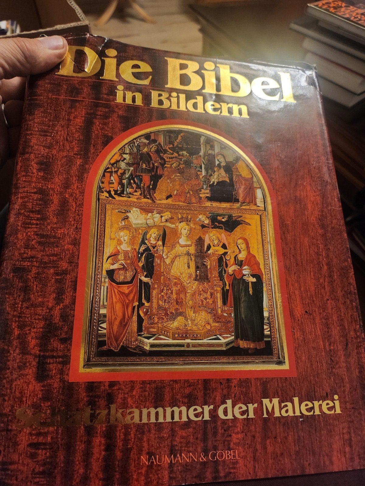 Die Bibel in Bildern - Schatkamer der Malerei, Ophalen of Verzenden, Zo goed als nieuw, Onbekend, Christendom | Katholiek