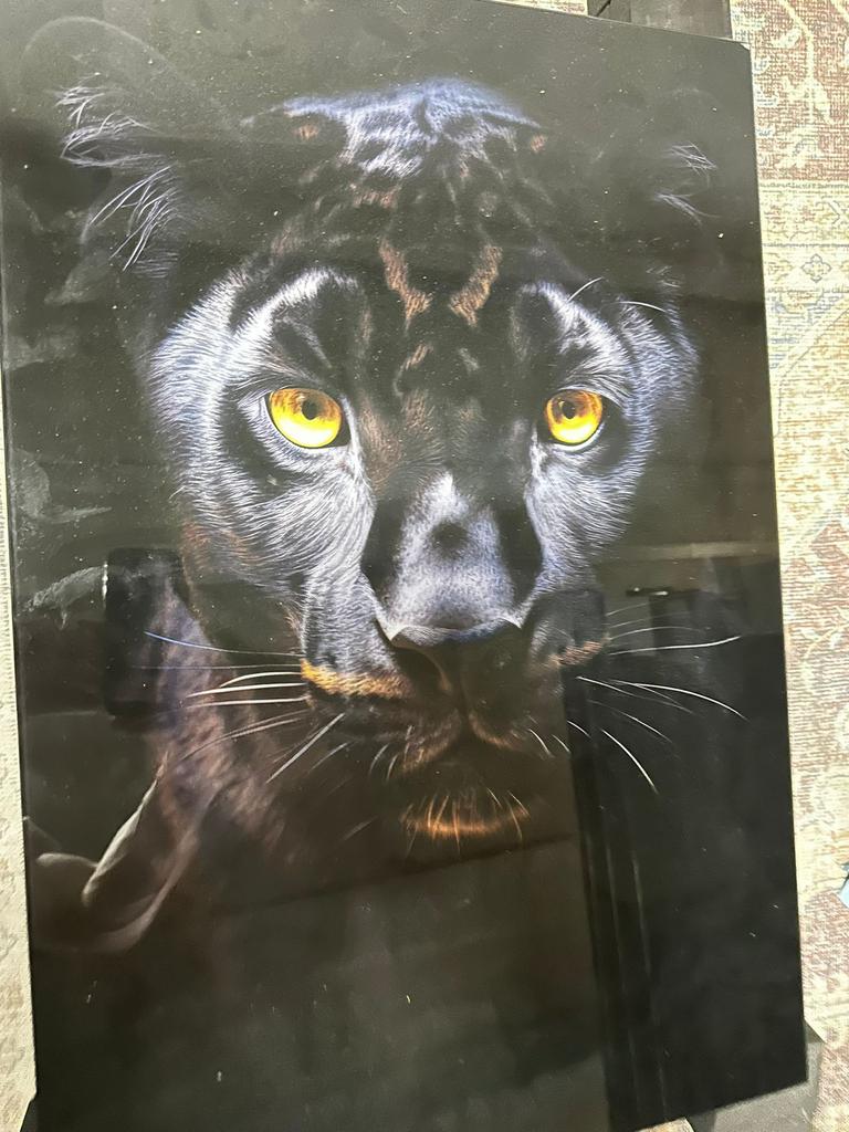 Glasschilderij 40x60cm black panter, Huis en Inrichting, Woonaccessoires | Schilderijen, Tekeningen en Foto's, Ophalen of Verzenden